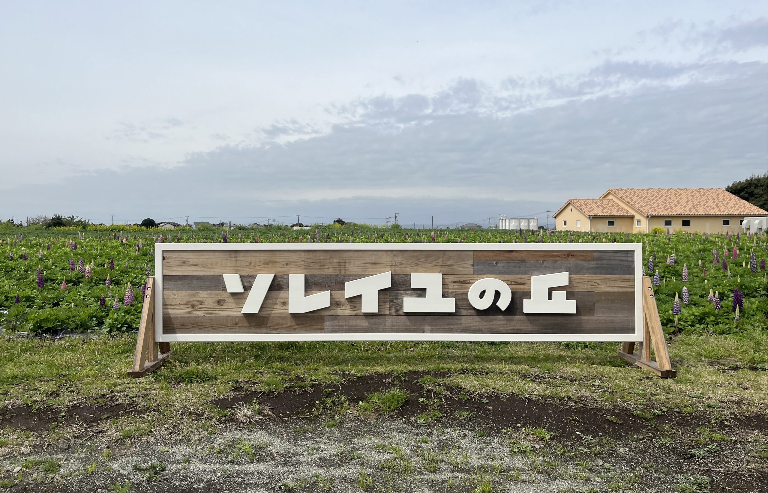 長井海の手公園 ソレイユの丘